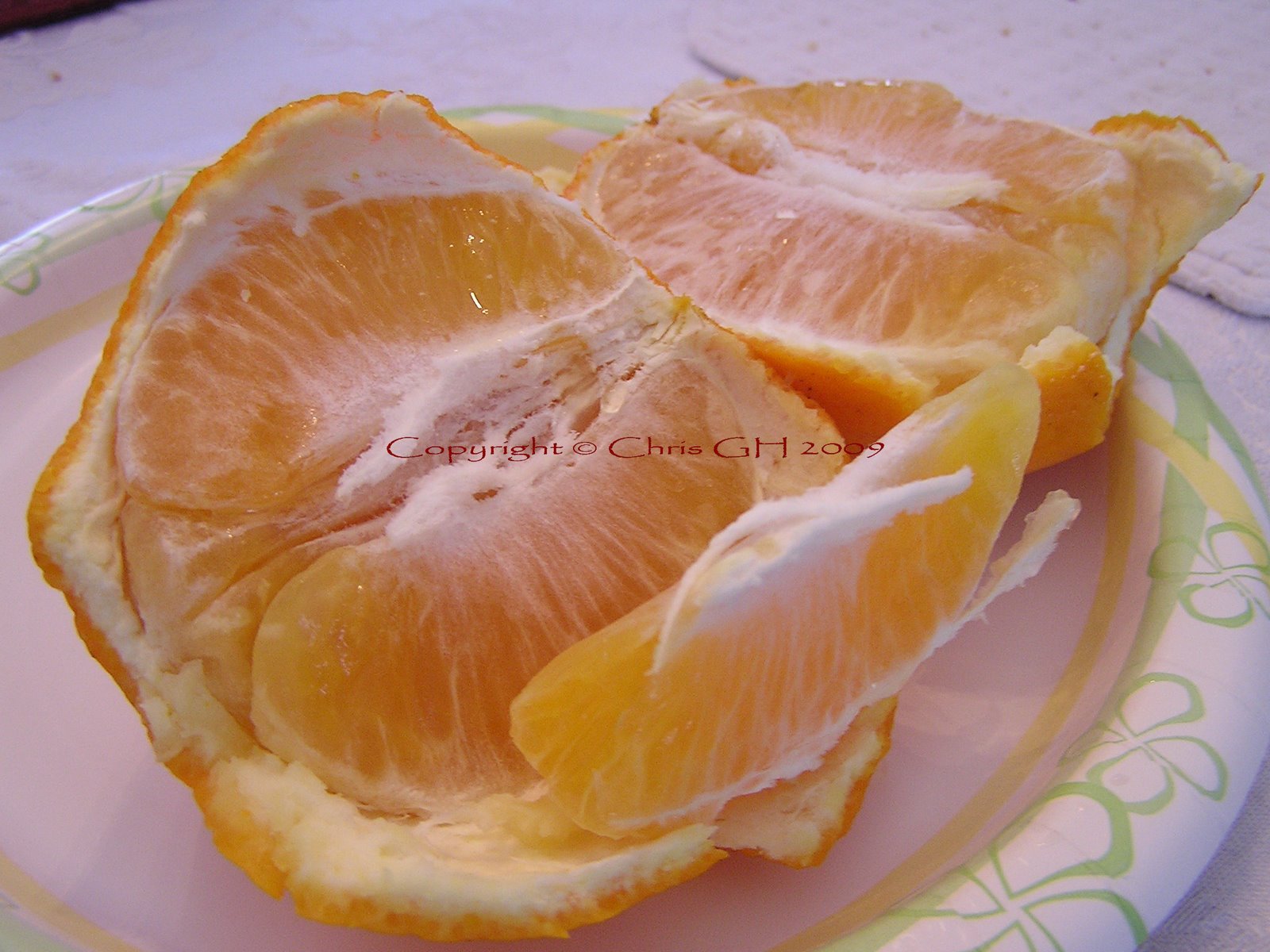 Honeybell Tangelos