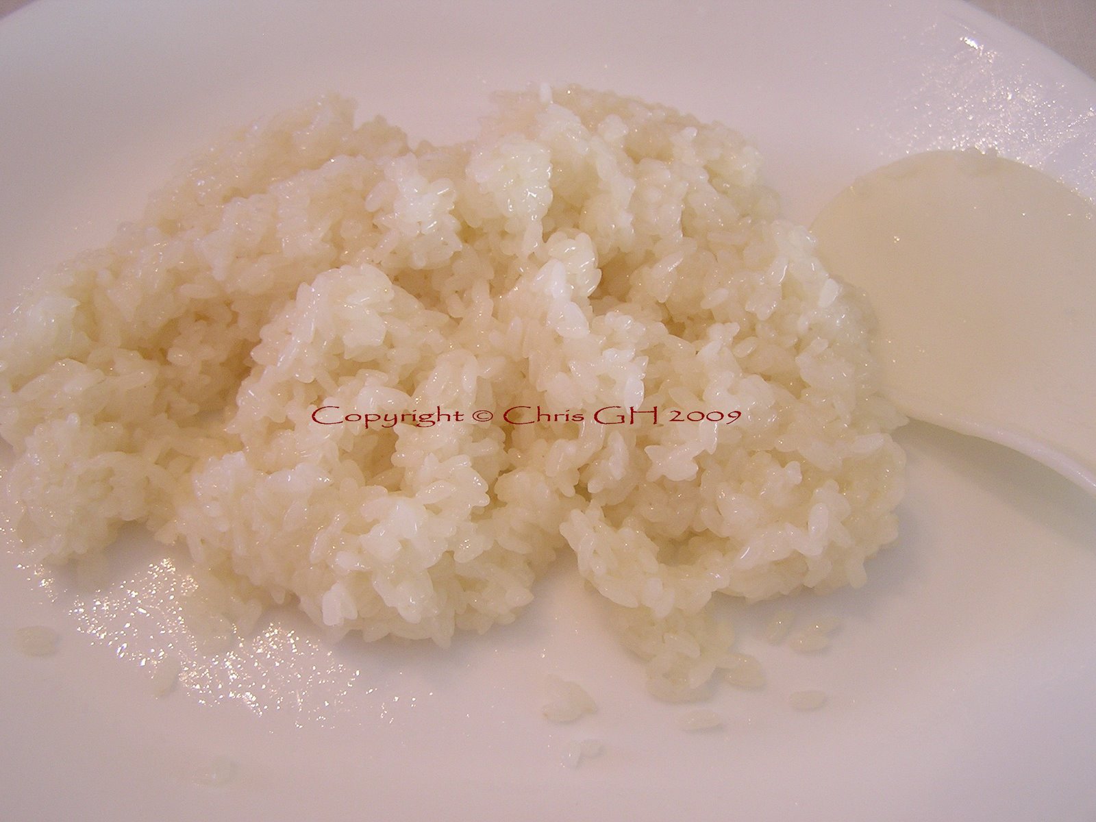 Sushi Rice