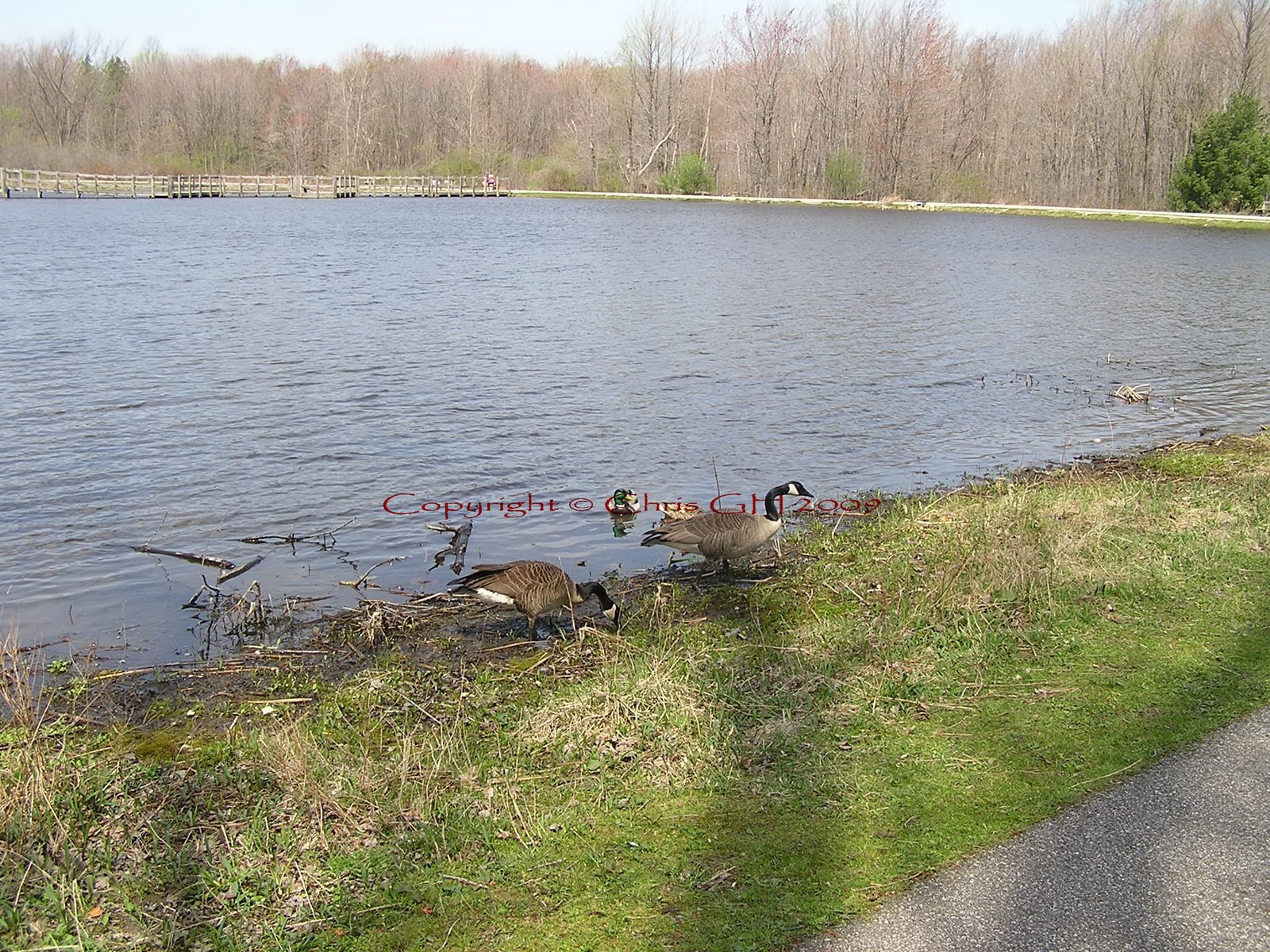 Spending the Morning in the Park