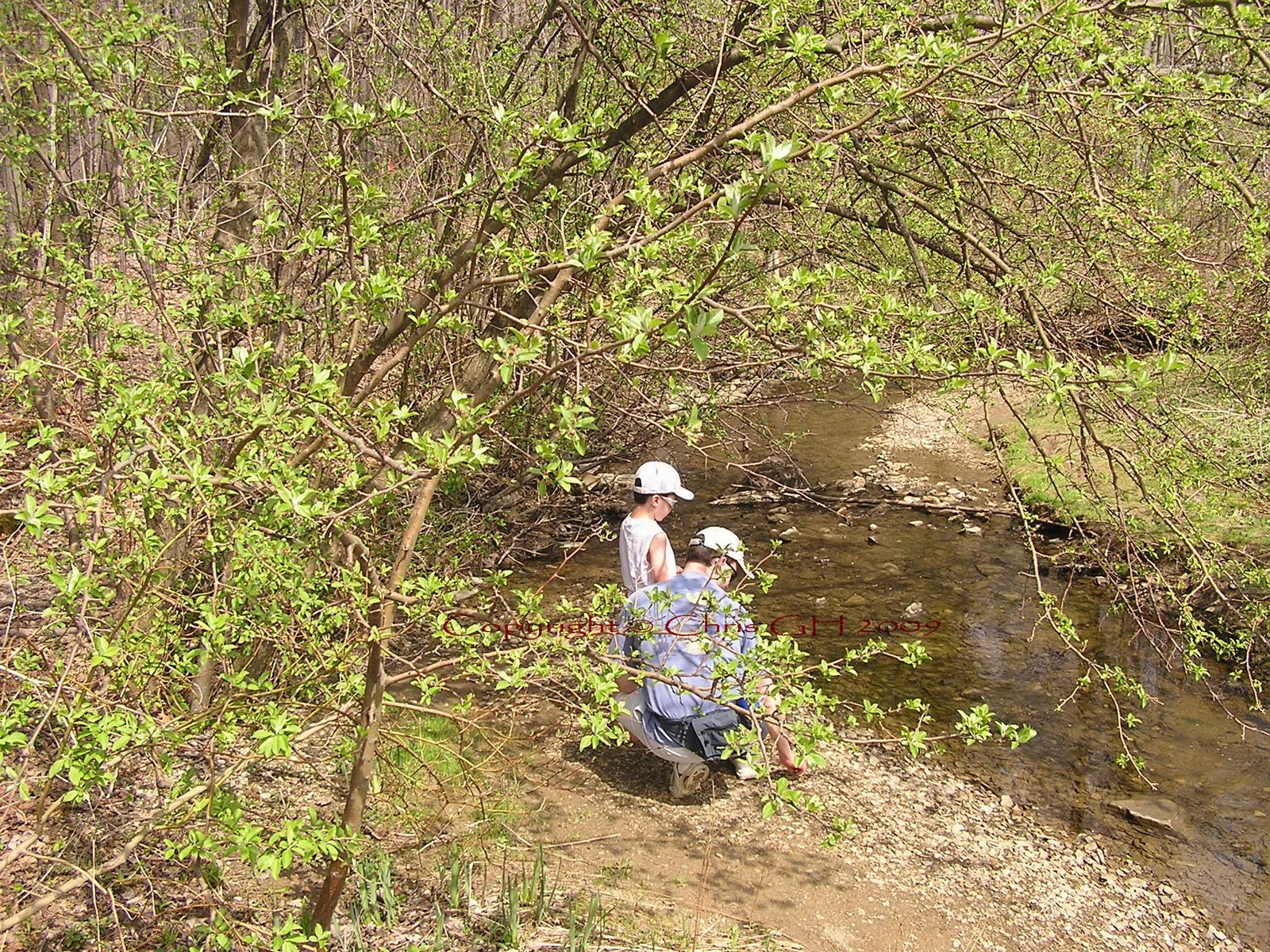 Spending the Morning in the Park
