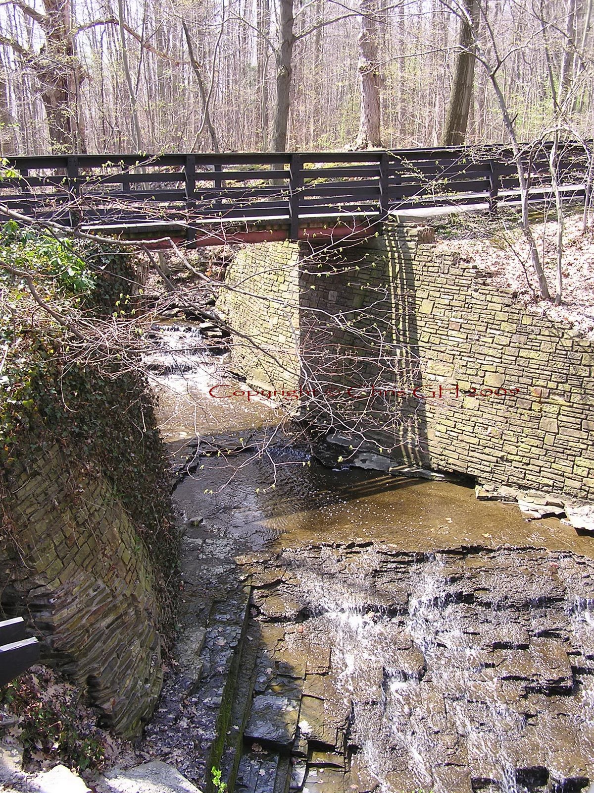 Spending the Morning in the Park