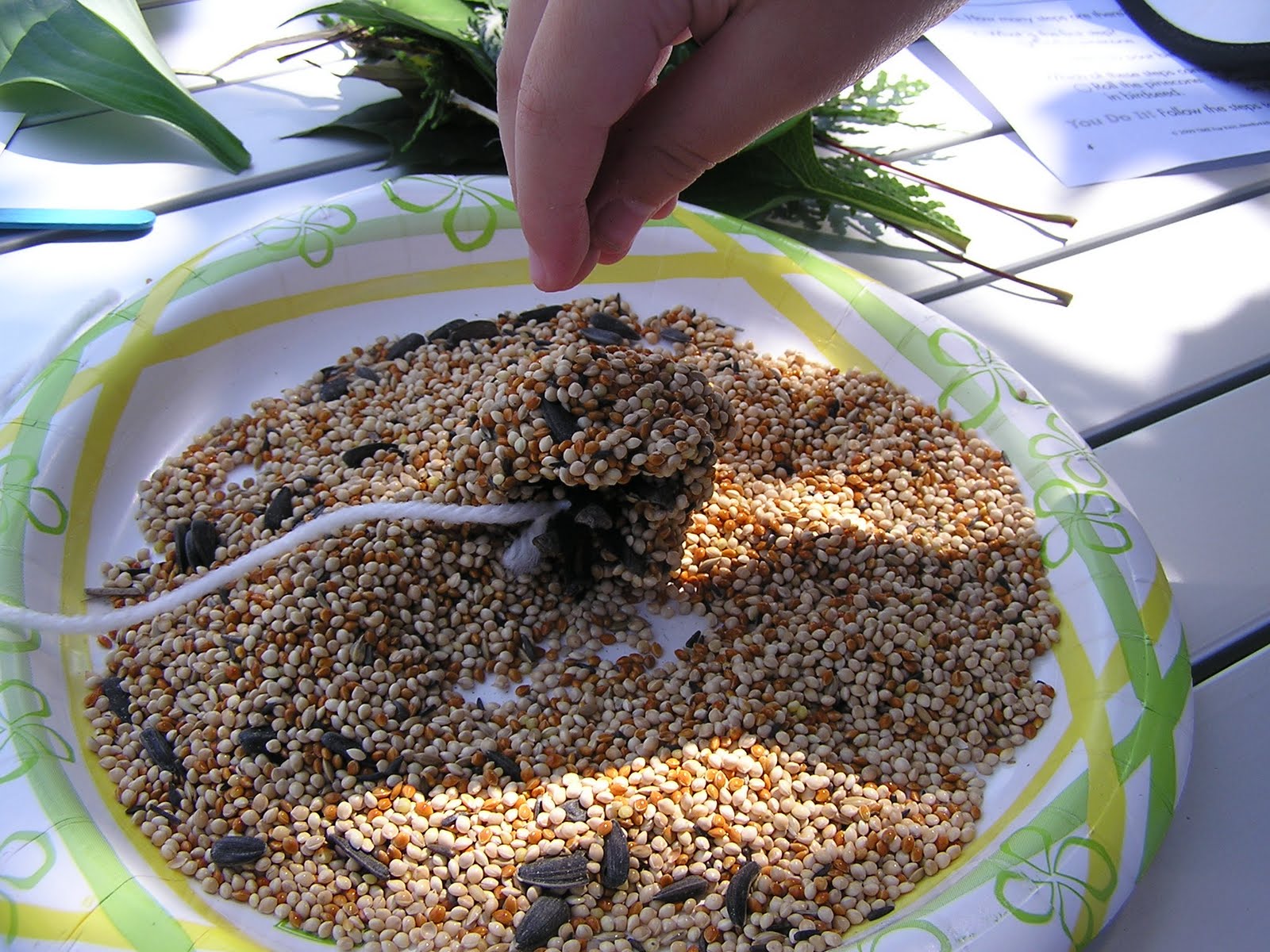 Making a Bird Feeder