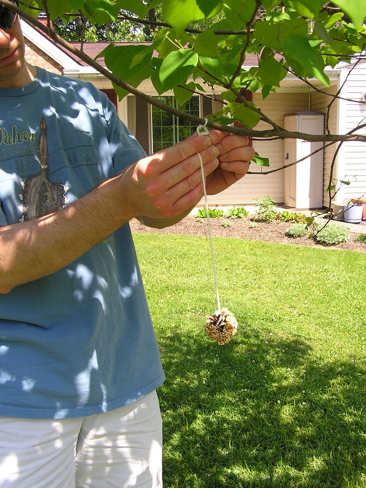 Making a Bird Feeder