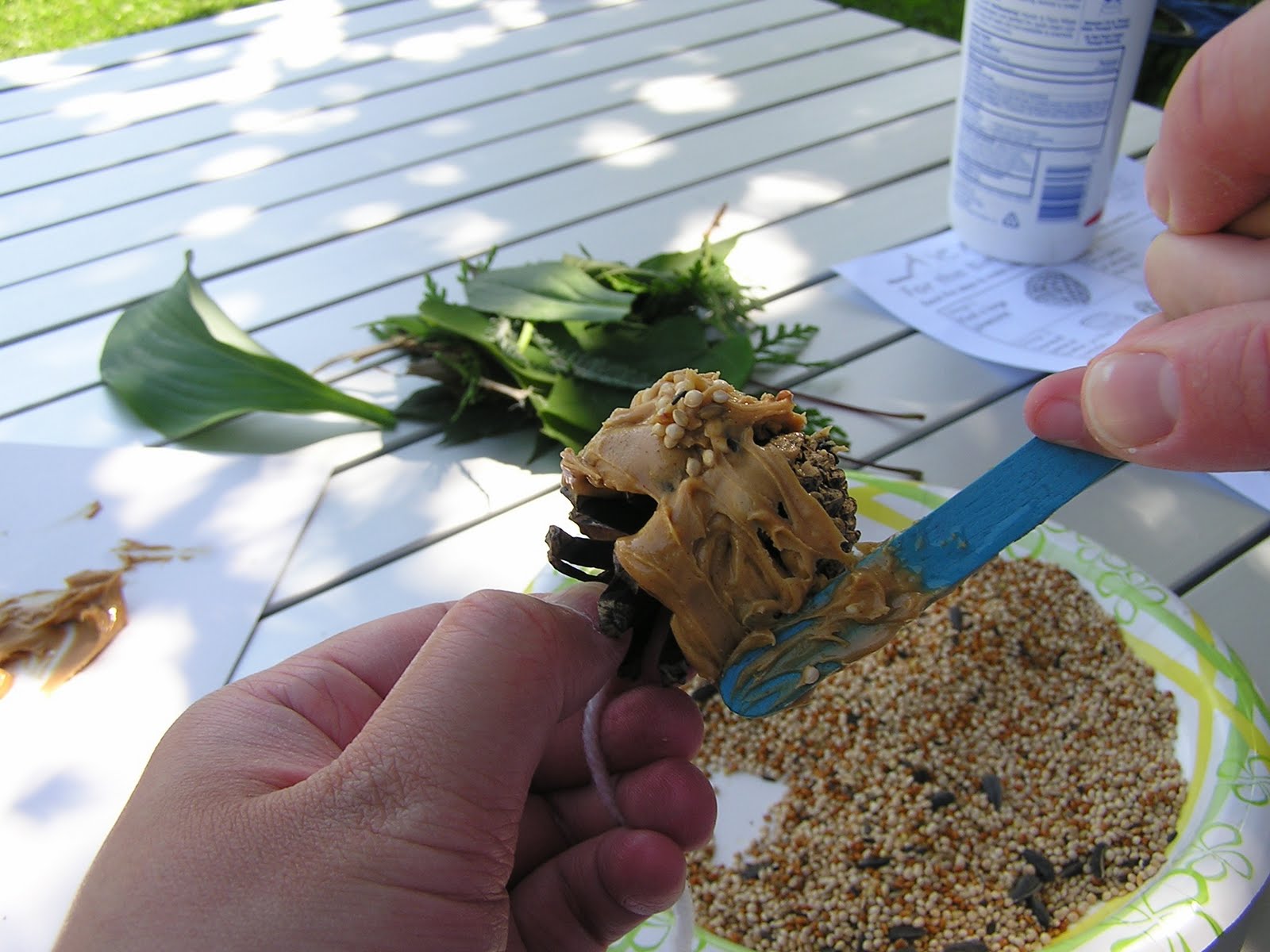 Making a Bird Feeder