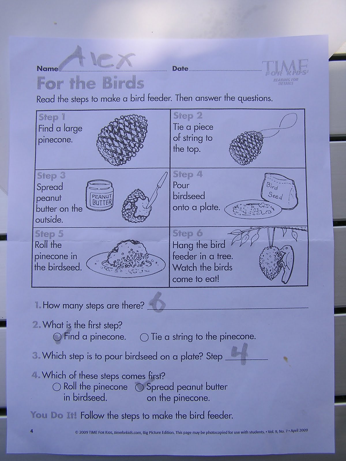 Making a Bird Feeder