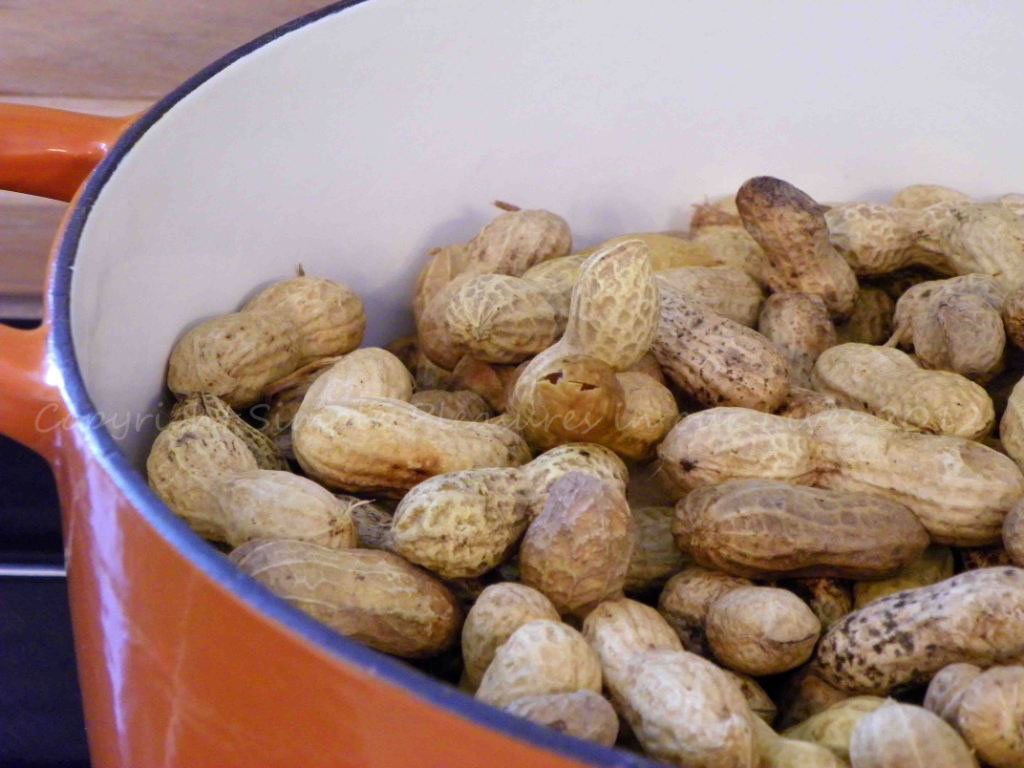 Leave at least a two-inch room from the top of the pot