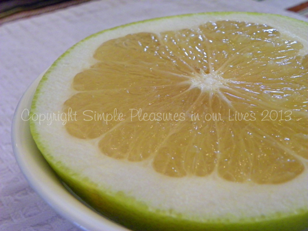 101_0055 copy