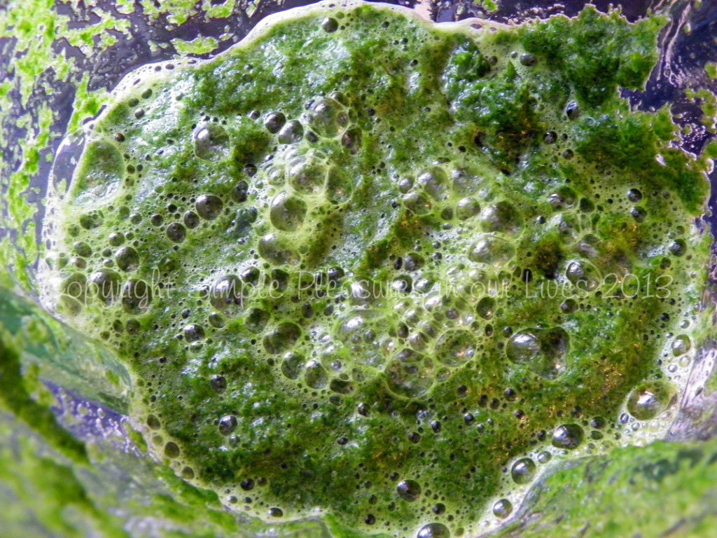 Blend with water until finely minced