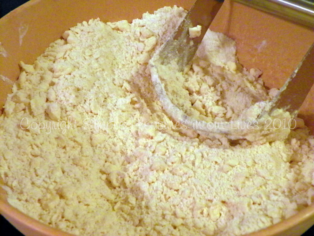 Cut in “butter” until mixture resembles coarse crumbs