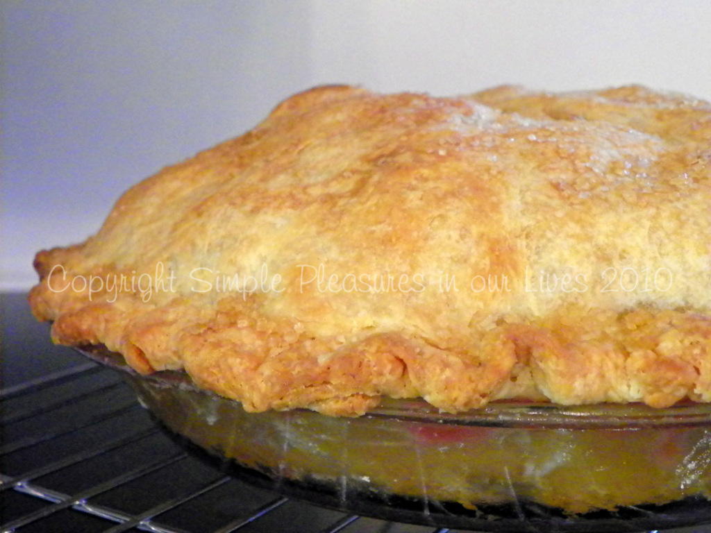 Not too shabby for the fourth pie in my ENTIRE life! :D