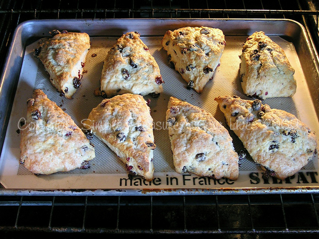 Fresh out of the oven