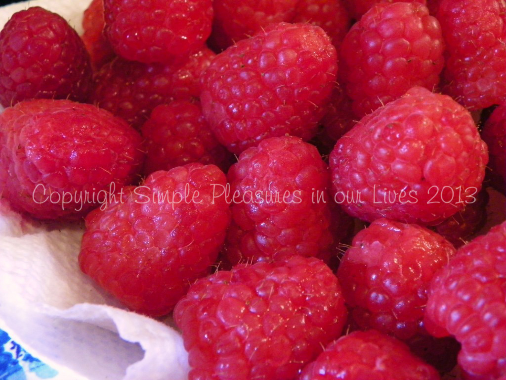 100_6847 copy