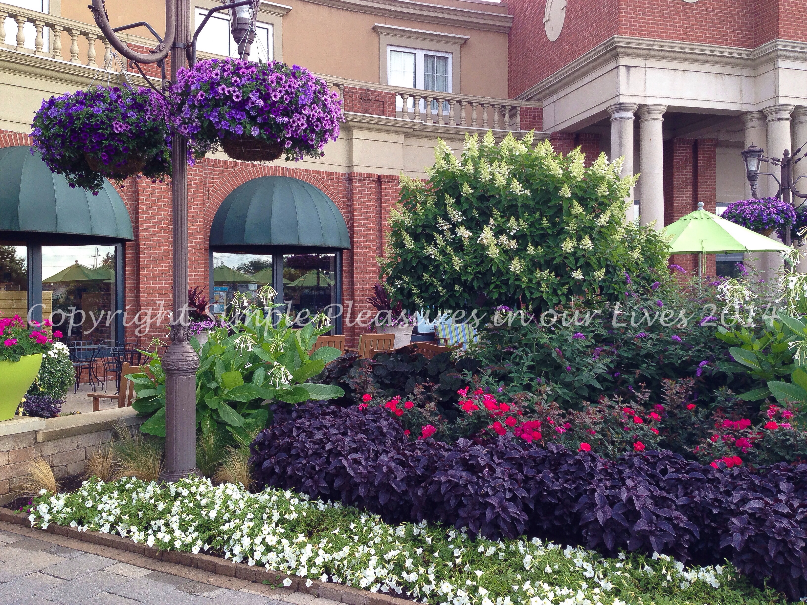 Eton with its gorgeous landscaping