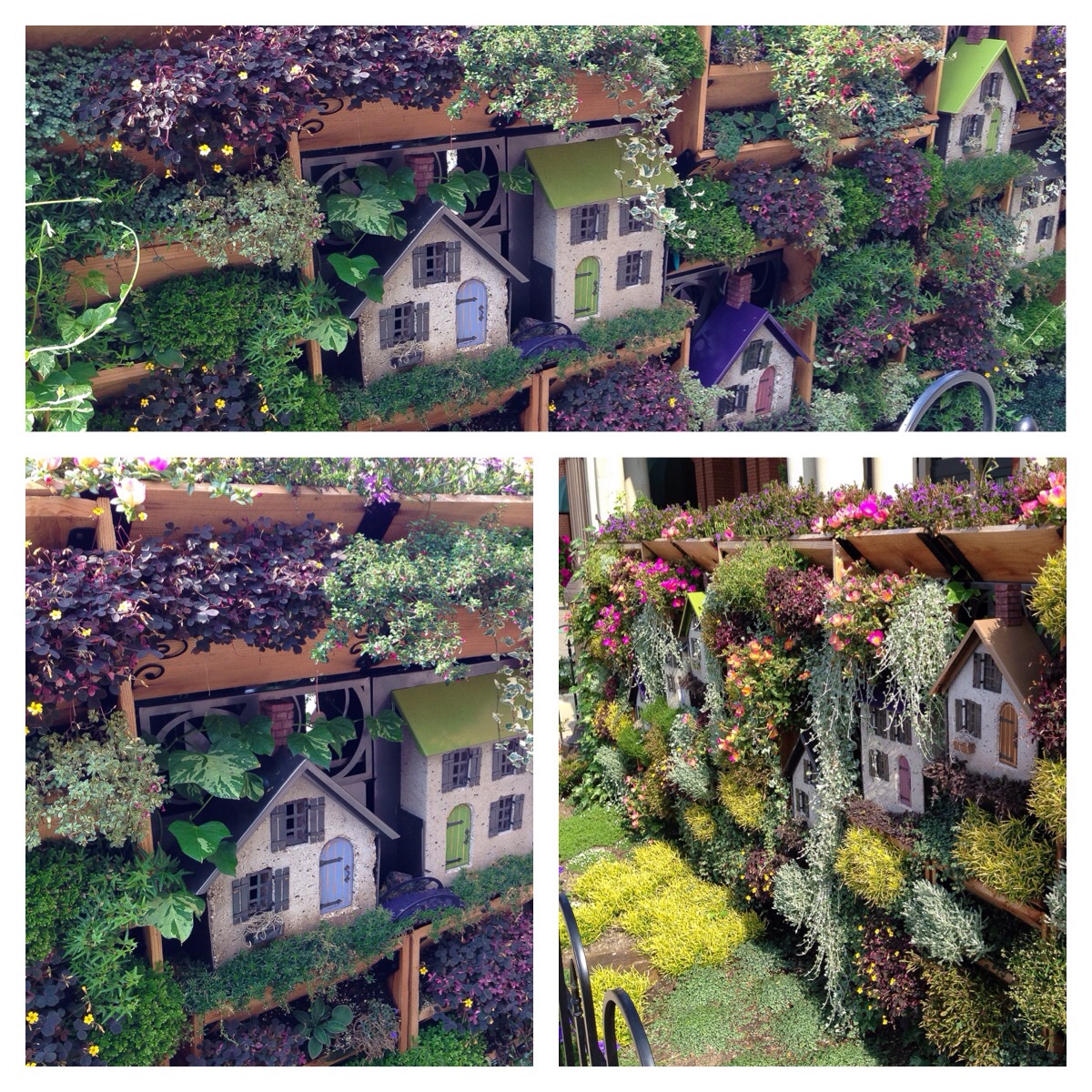 A beautiful display of miniature houses surrounded by more flowers/plants