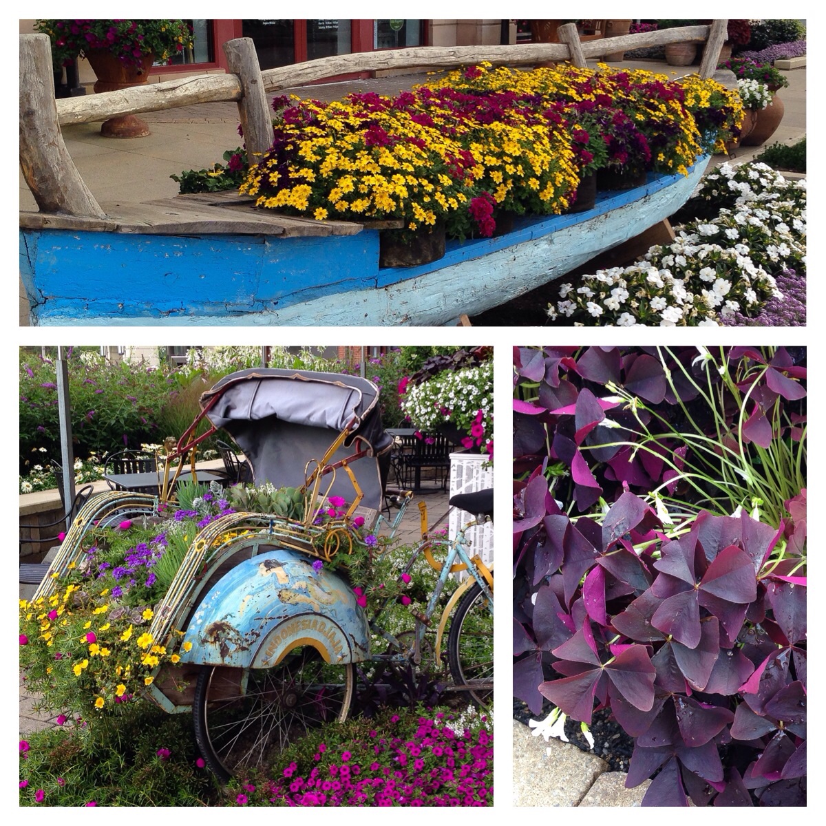 Flowers everywhere! That dark purple plant on the bottom right is one of my favorites...it reminds me of butterflies. :)