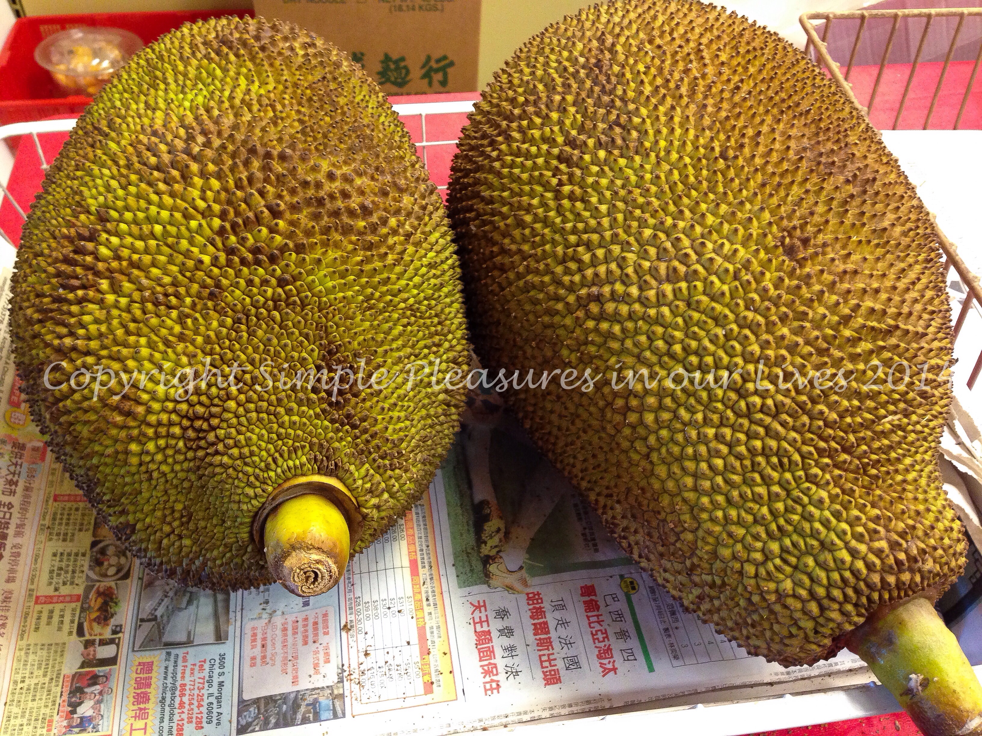 I was really tempted to get one of these jackfruit but uh...how are we going to finish it?